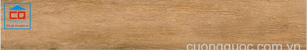 Gạch lát nền Vietceramics nhập khẩu Tây Ba Nha 20x120 VIGGO 212VIFR